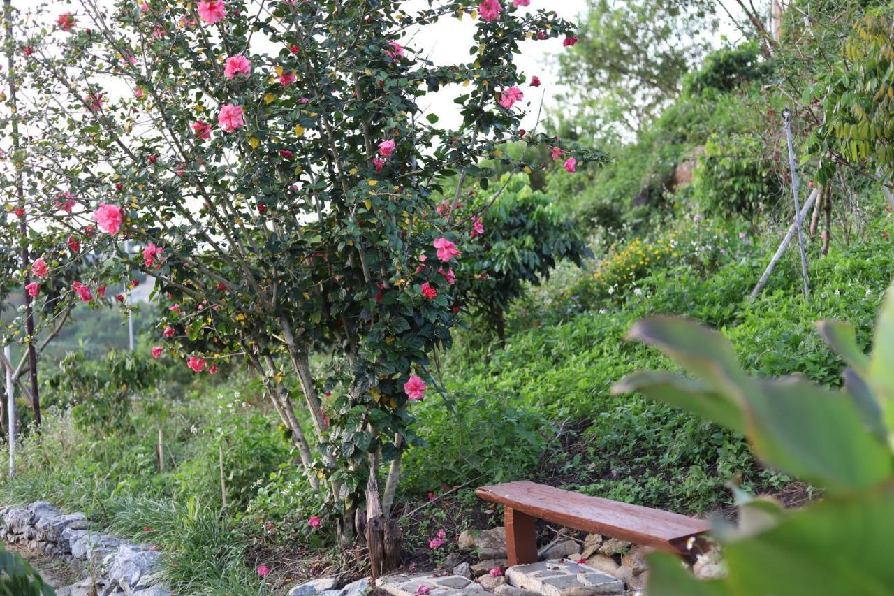 Ferienwohnung Moc Chau Peachy Garden Exterior foto